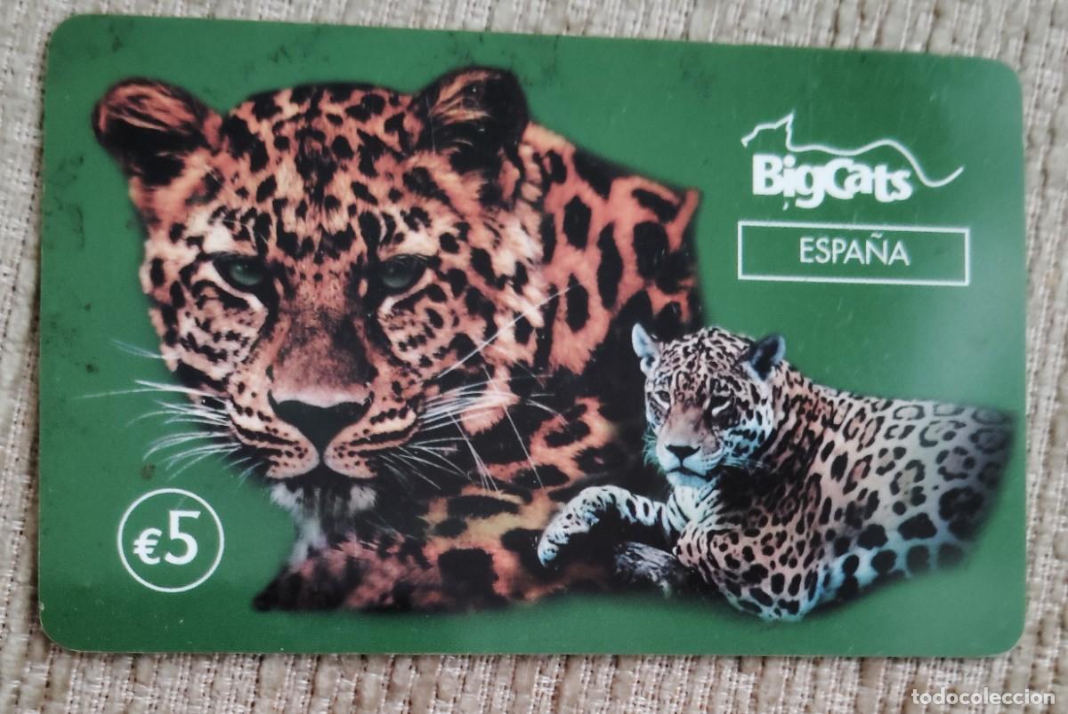 Tarjetas telef&oacute;nicas de colecci&oacute;n: Tarjeta telef&oacute;nica. BigCats