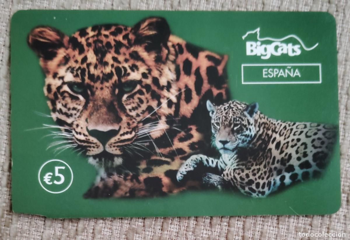 Tarjetas telef&oacute;nicas de colecci&oacute;n: Tarjeta telef&oacute;nica. BigCats