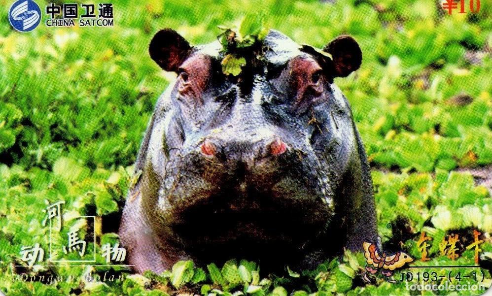 Tarjetas telef&oacute;nicas de colecci&oacute;n: CHINA. JD193-(4-1). FAUNA. HIPOPOTAMO - HIPPOPOTAMUS - HIPPO. 2008-09. (934)