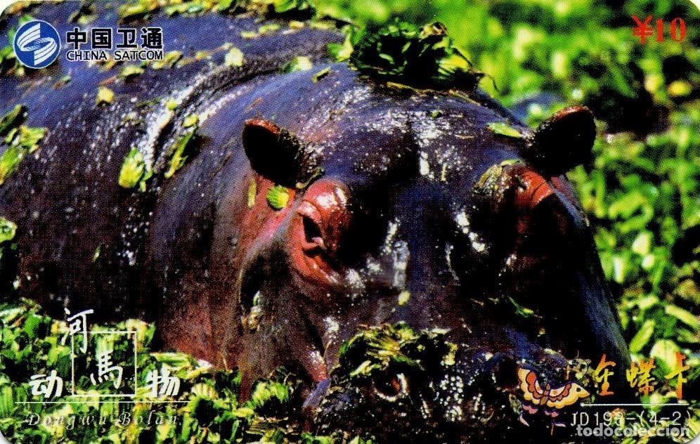 Tarjetas telef&oacute;nicas de colecci&oacute;n: CHINA. JD193-(4-2)FAUNA. HIPOPOTAMO - HIPPOPOTAMUS - HIPPO. 2008-09. (935)