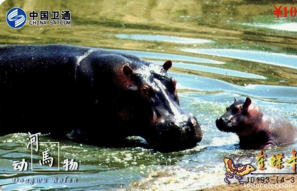 Tarjetas telef&oacute;nicas de colecci&oacute;n: CHINA. JD193-(4-3). FAUNA. HIPOPOTAMO - HIPPOPOTAMUS - HIPPO. 2008-09. (936)
