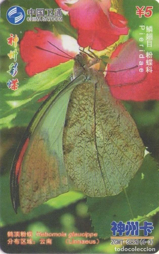 Tarjetas telef&oacute;nicas de colecci&oacute;n: CHINA. ZGWT-SZ20(4-3). MARIPOSAS - BUTTERFLIES. PIERIDAE. 2006-12. (830)