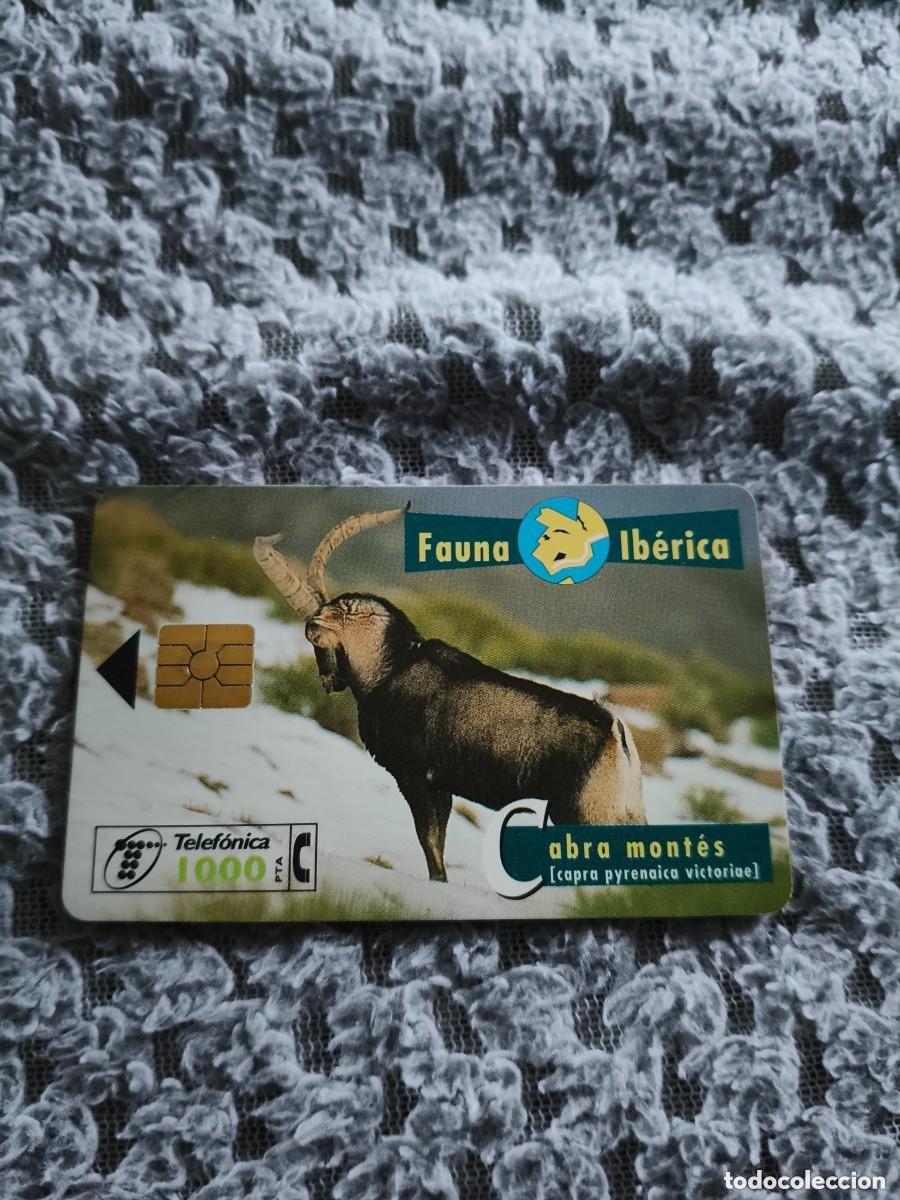 Tarjetas telef&oacute;nicas de colecci&oacute;n: Tarjeta Telef&oacute;nica Fauna Ib&eacute;rica - Cabra mont&eacute;s