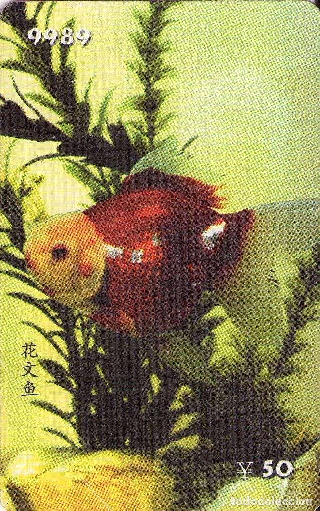 Tarjetas telef&oacute;nicas de colecci&oacute;n: CHINA. HF122(14-12). FISH - PECES. (564)