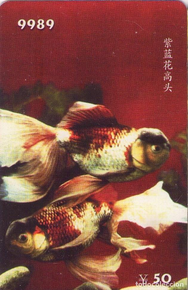 Tarjetas telef&oacute;nicas de colecci&oacute;n: CHINA. HF122(14-11). FISH - PECES. (563)