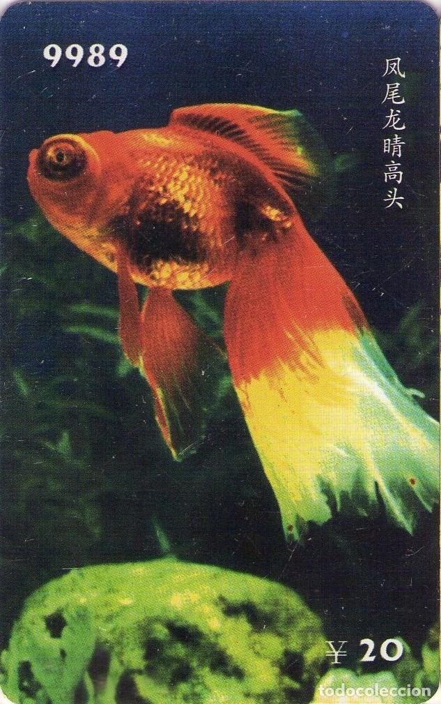 Tarjetas telef&oacute;nicas de colecci&oacute;n: CHINA. HF122(14-10). FISH - PECES. (562)