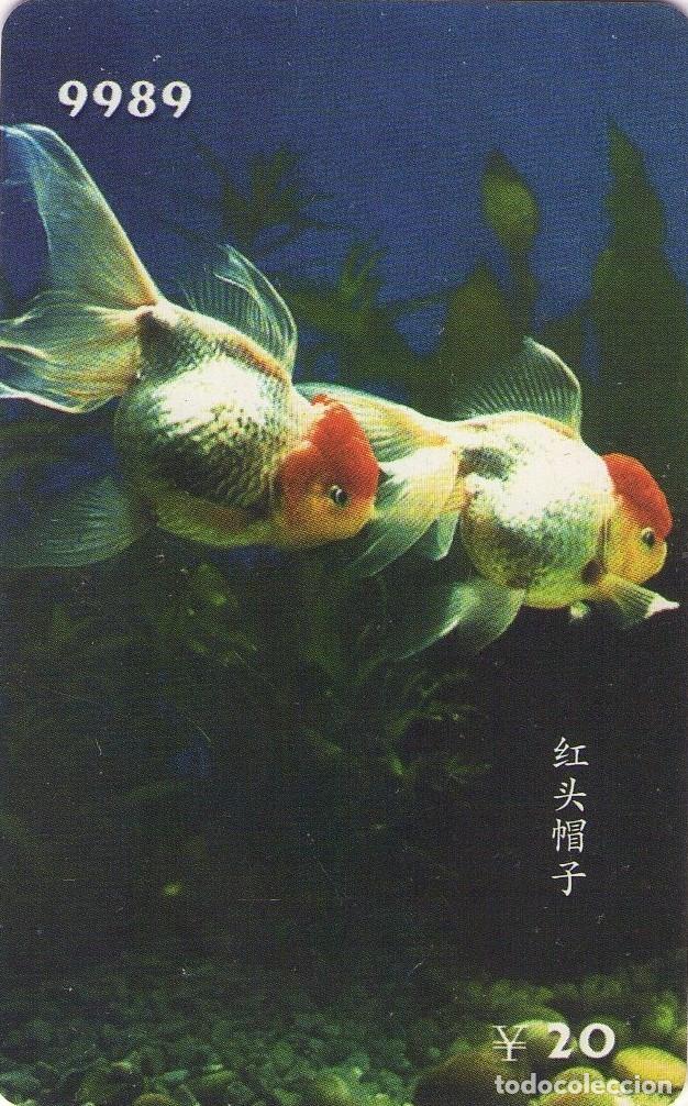 Tarjetas telef&oacute;nicas de colecci&oacute;n: CHINA. HF122(14-8). FISH - PECES. (561)