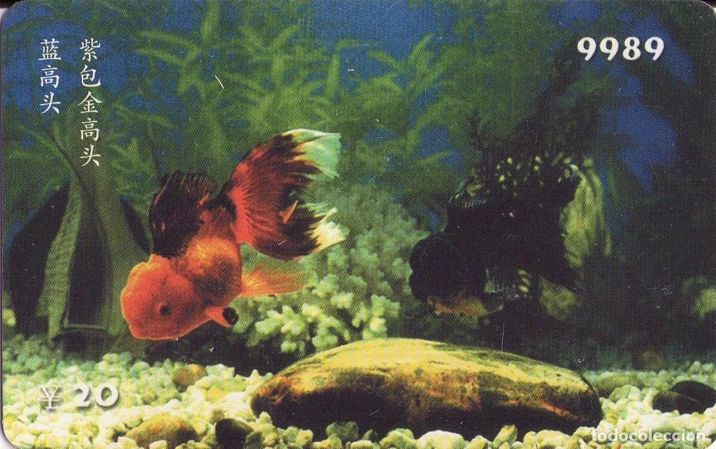 Tarjetas telef&oacute;nicas de colecci&oacute;n: CHINA. HF122(14-3). FISH - PECES. (558)