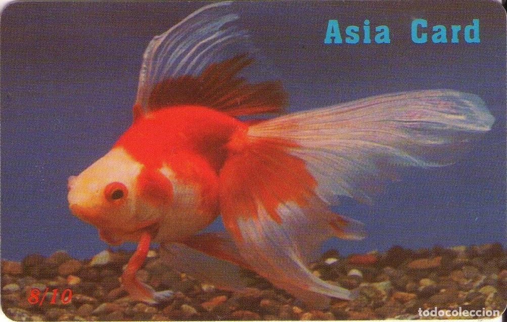 Tarjetas telef&oacute;nicas de colecci&oacute;n: CHINA. ASIA CARD. FISH - PECES. 10$. (556)