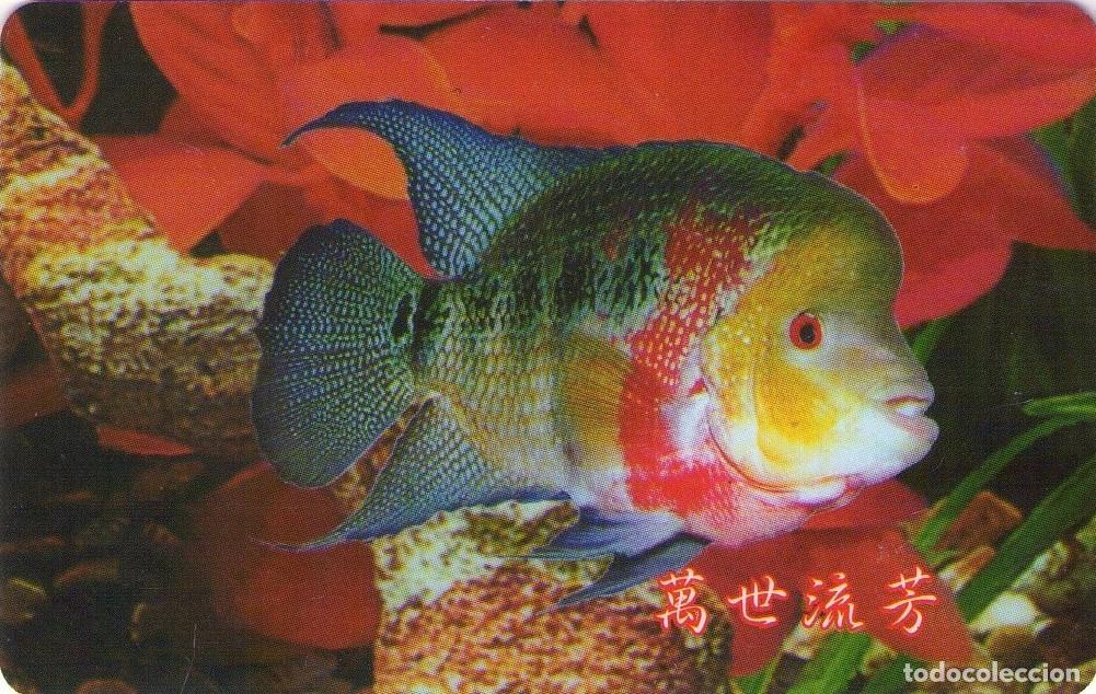 Tarjetas telef&oacute;nicas de colecci&oacute;n: CHINA. FISH - PECES. 10$. (555)