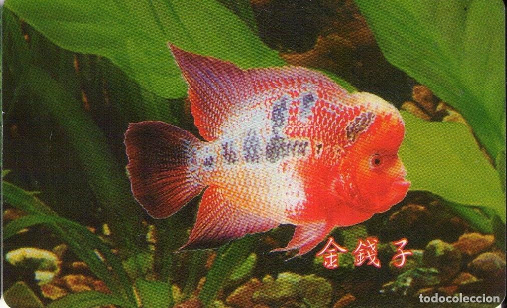 Tarjetas telef&oacute;nicas de colecci&oacute;n: CHINA. FISH - PECES. 10$. (554)