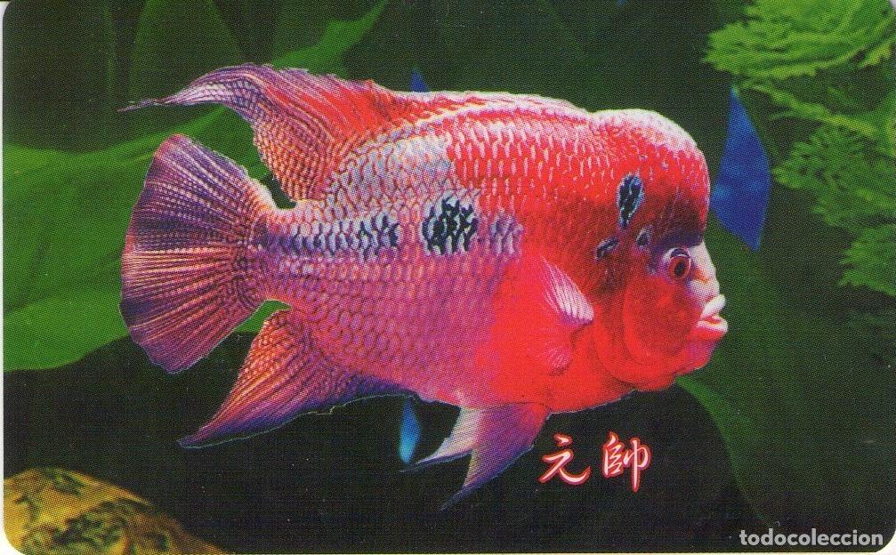Tarjetas telef&oacute;nicas de colecci&oacute;n: CHINA. NEXTEL. FISH - PECES. 10$. 2003-08. (553)
