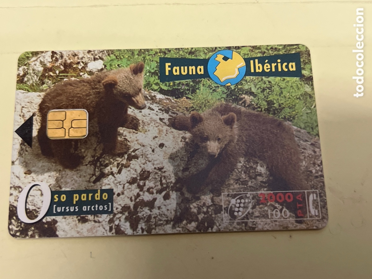 Tarjetas telef&oacute;nicas de colecci&oacute;n: T1/E2/1079. TARJETA TELEFONICA - FAUNA IB&Eacute;RICA - OSO PARDO