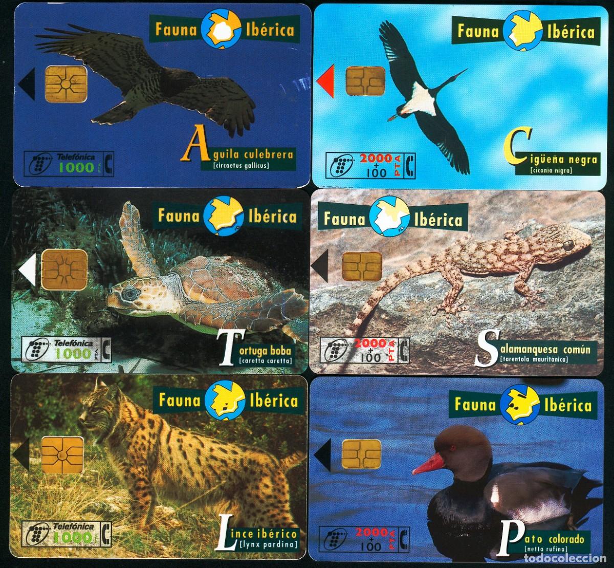 Tarjetas telef&oacute;nicas de colecci&oacute;n: 6 TARJETAS TELEFONICAS USADAS DE ESPA&Ntilde;A DE FAUNA IBERICA