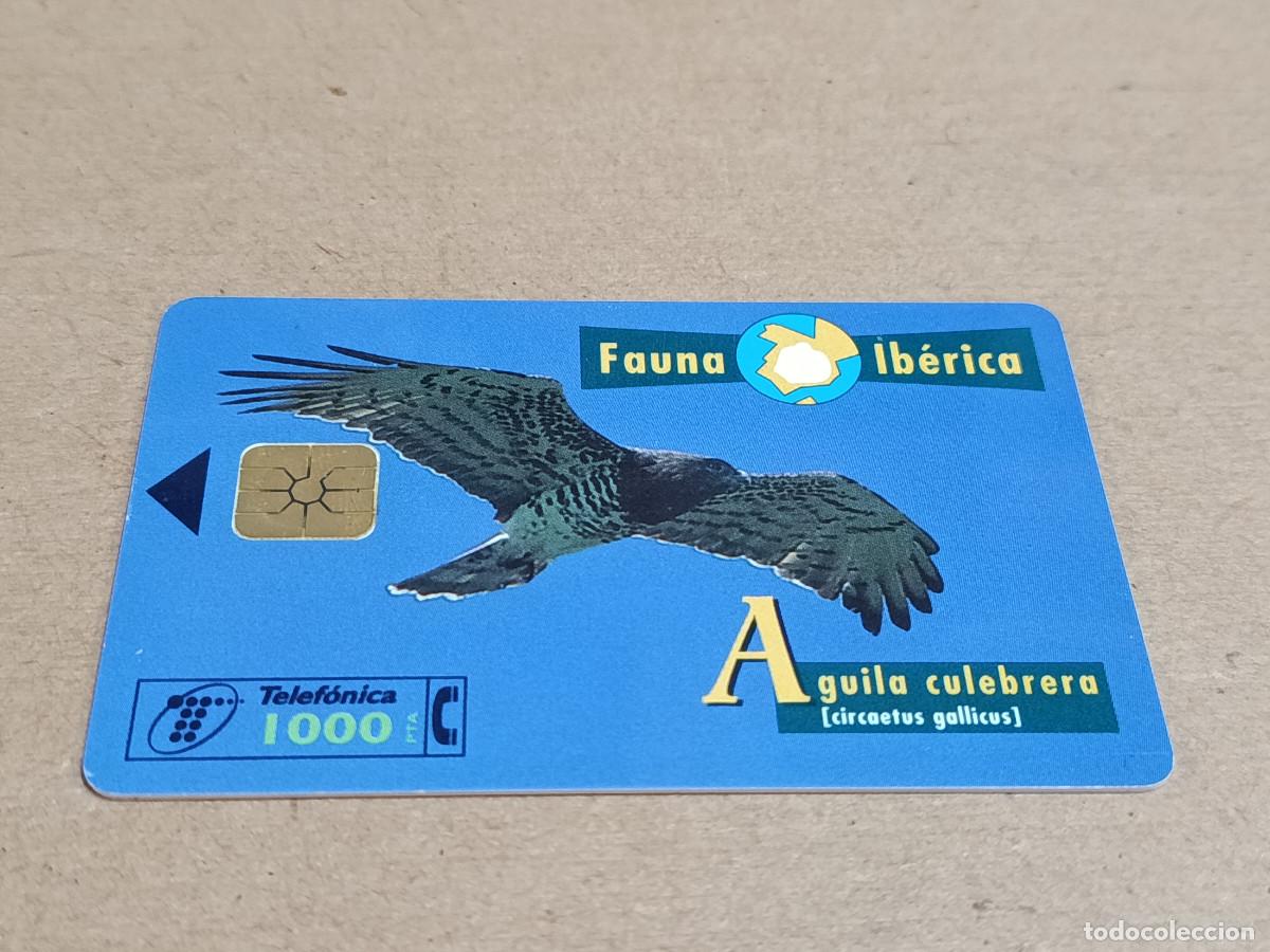 Tarjetas telef&oacute;nicas de colecci&oacute;n: TARJETA TELEF&Oacute;NICA FAUNA IB&Eacute;RICA - &Aacute;GUILA CULEBRERA