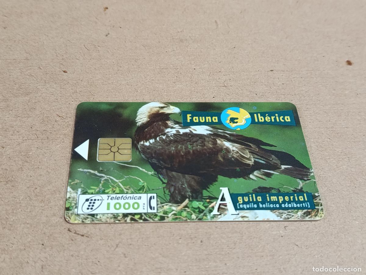 Tarjetas telef&oacute;nicas de colecci&oacute;n: TARJETA TELEF&Oacute;NICA FAUNA IB&Eacute;RICA - &Aacute;GUILA IMPERIAL