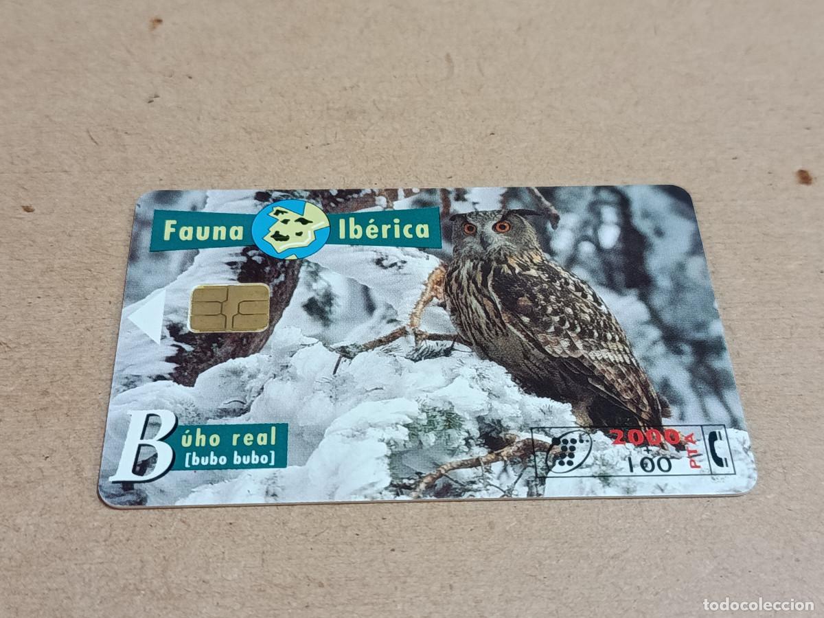 Tarjetas telef&oacute;nicas de colecci&oacute;n: TARJETA TELEF&Oacute;NICA FAUNA IB&Eacute;RICA - B&Uacute;HO REAL