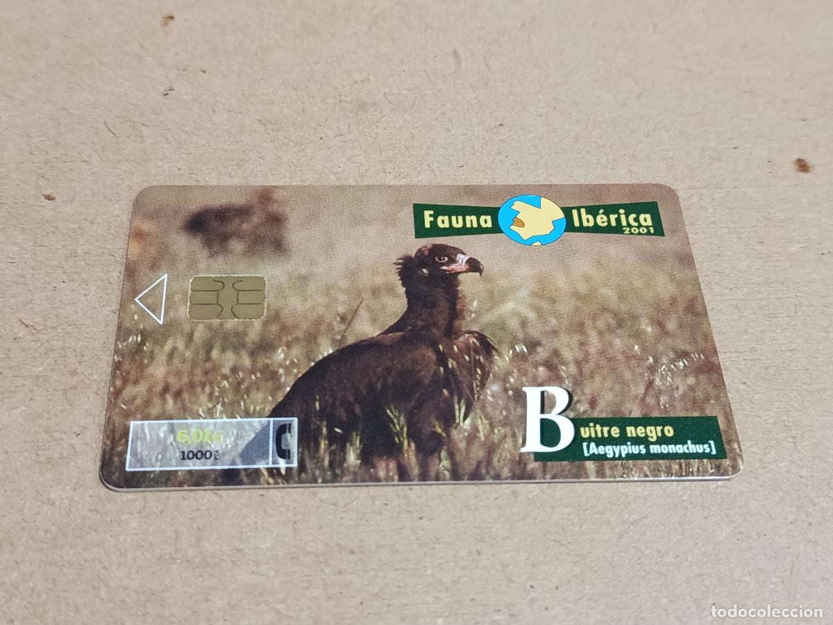 Tarjetas telef&oacute;nicas de colecci&oacute;n: TARJETA TELEF&Oacute;NICA FAUNA IB&Eacute;RICA - BUITRE NEGRO