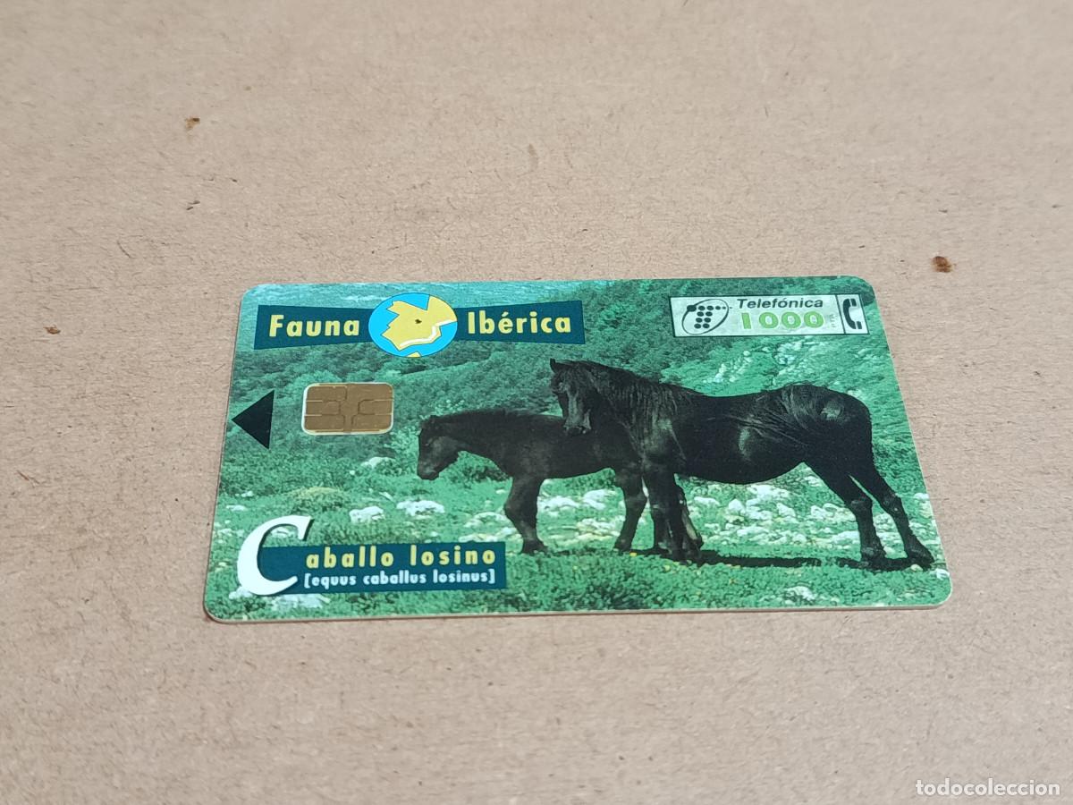 Tarjetas telef&oacute;nicas de colecci&oacute;n: TARJETA TELEF&Oacute;NICA FAUNA IB&Eacute;RICA - CABALLO LOSINO