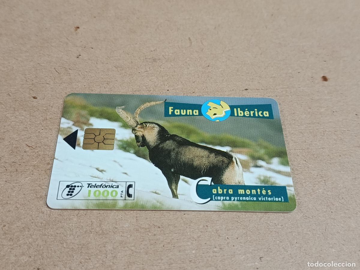 Tarjetas telef&oacute;nicas de colecci&oacute;n: TARJETA TELEF&Oacute;NICA FAUNA IB&Eacute;RICA - CABRA MONT&Eacute;S