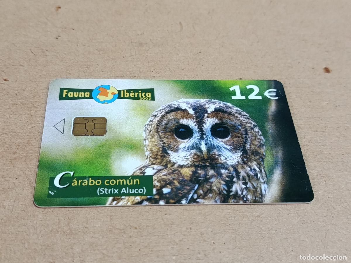 Tarjetas telef&oacute;nicas de colecci&oacute;n: TARJETA TELEF&Oacute;NICA FAUNA IB&Eacute;RICA - C&Aacute;RABO COM&Uacute;N