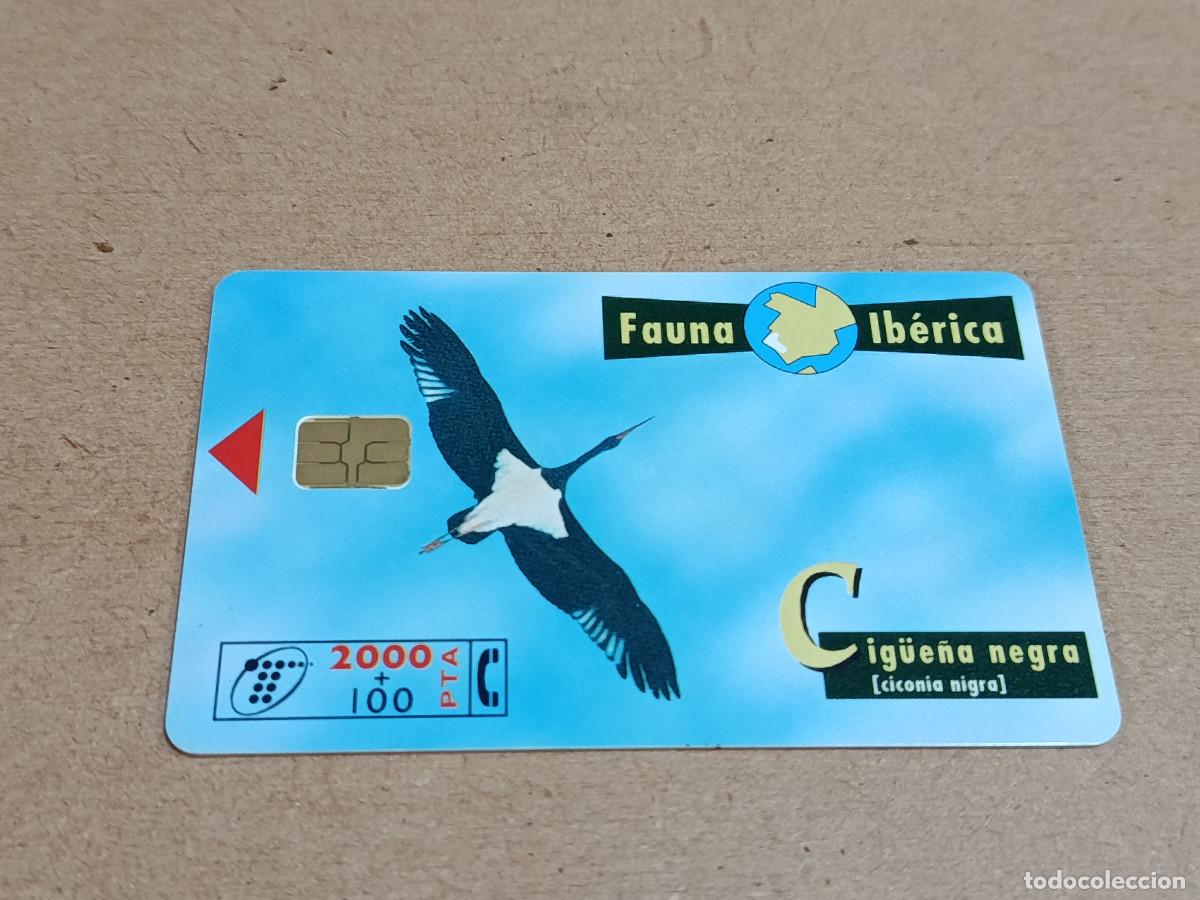 Tarjetas telef&oacute;nicas de colecci&oacute;n: TARJETA TELEF&Oacute;NICA FAUNA IB&Eacute;RICA - CIG&Uuml;E&Ntilde;A NEGRA
