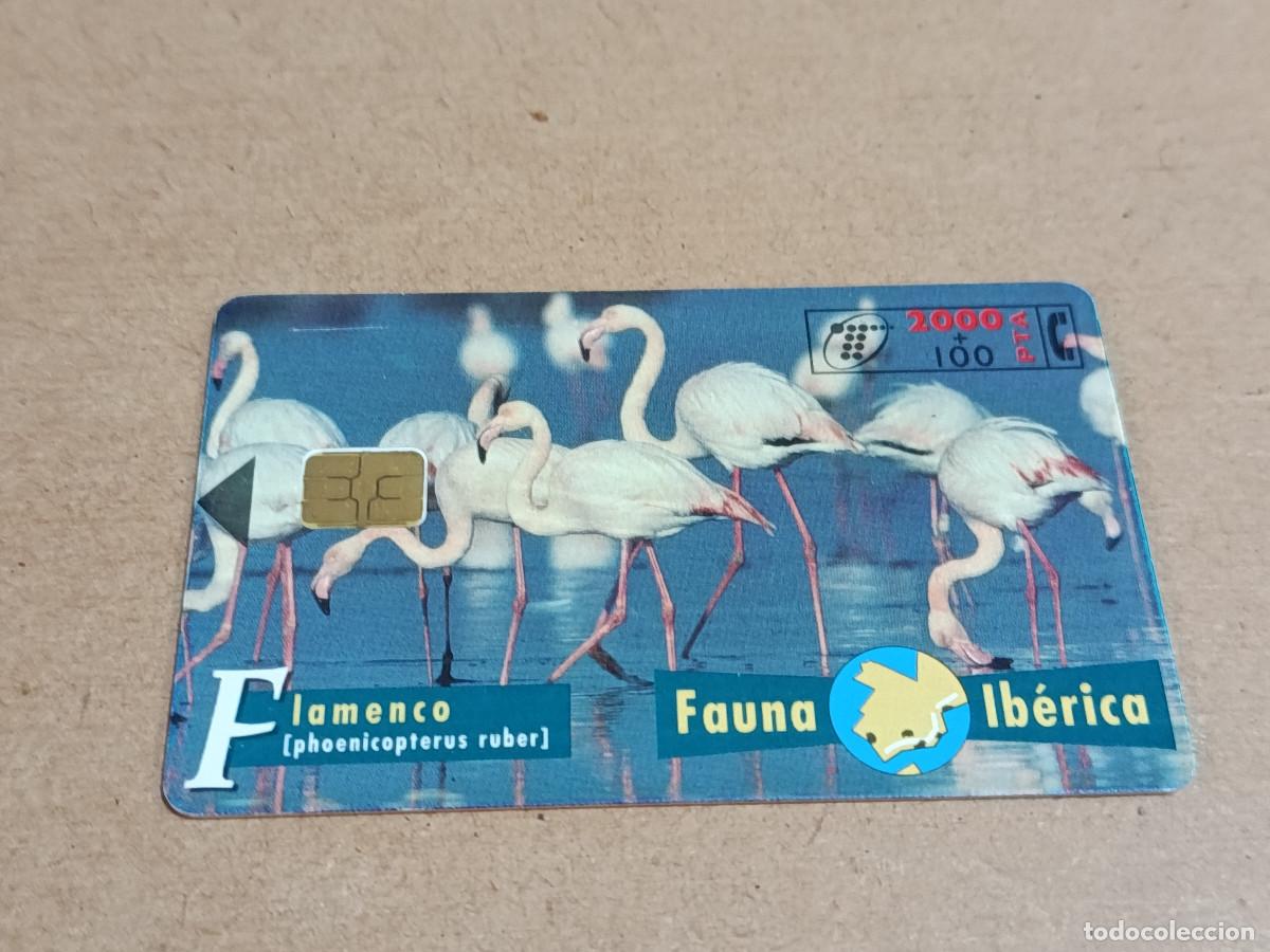 Tarjetas telef&oacute;nicas de colecci&oacute;n: TARJETA TELEF&Oacute;NICA FAUNA IB&Eacute;RICA - FLAMENCO