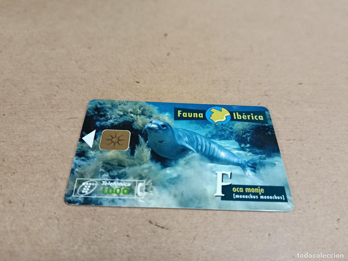 Tarjetas telef&oacute;nicas de colecci&oacute;n: TARJETA TELEF&Oacute;NICA FAUNA IB&Eacute;RICA - FOCA MONJE