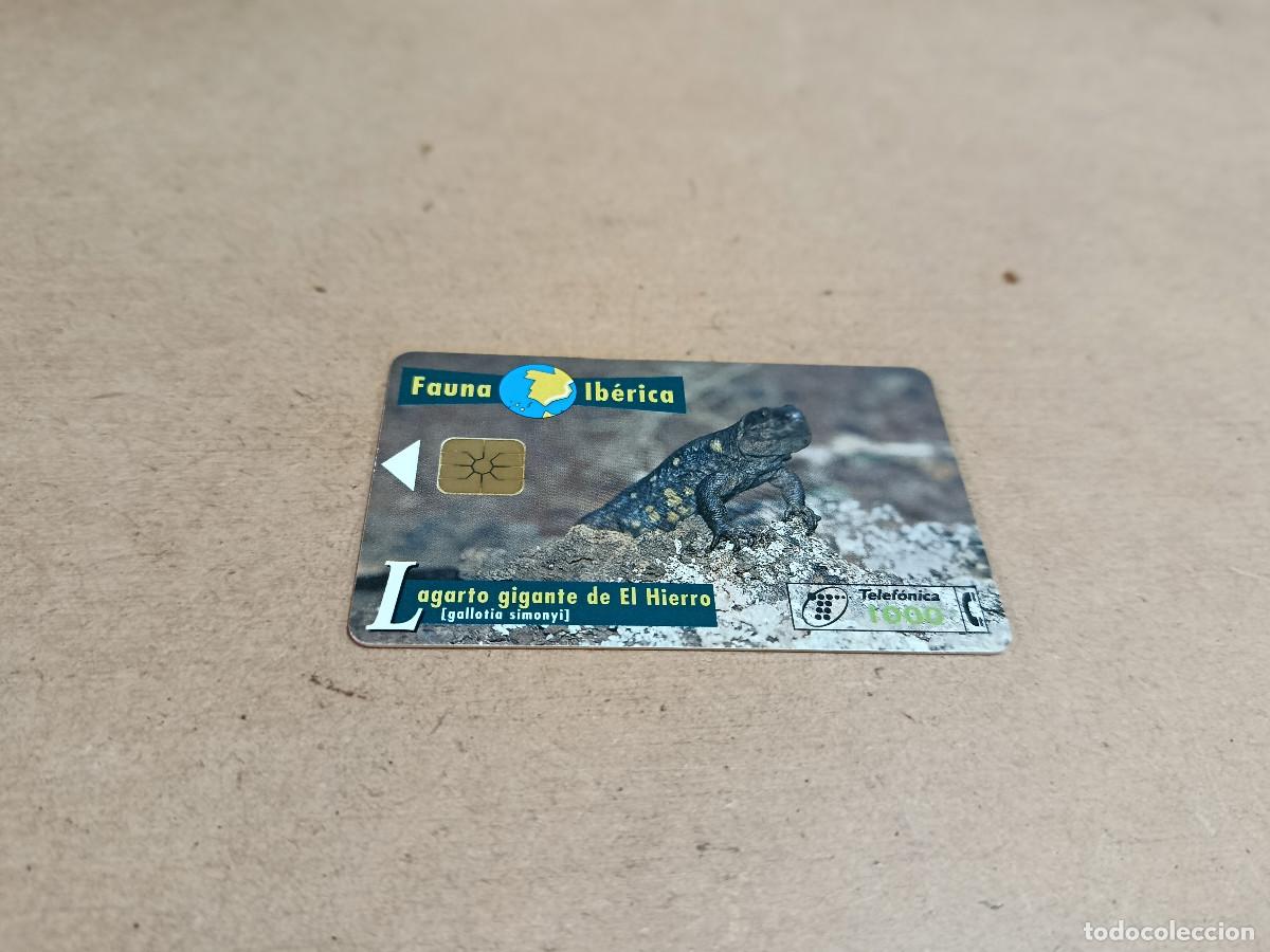 Tarjetas telef&oacute;nicas de colecci&oacute;n: TARJETA TELEF&Oacute;NICA FAUNA IB&Eacute;RICA - LAGARTO GIGANTE DE EL HIERRO