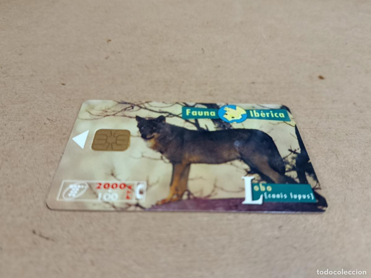 Tarjetas telef&oacute;nicas de colecci&oacute;n: TARJETA TELEF&Oacute;NICA FAUNA IB&Eacute;RICA - LOBO