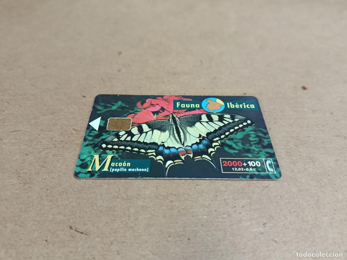 Tarjetas telef&oacute;nicas de colecci&oacute;n: TARJETA TELEF&Oacute;NICA FAUNA IB&Eacute;RICA - MACA&Oacute;N