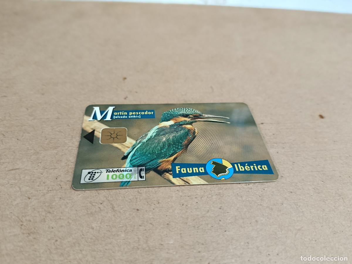 Tarjetas telef&oacute;nicas de colecci&oacute;n: TARJETA TELEF&Oacute;NICA FAUNA IB&Eacute;RICA - MART&Iacute;N PESCADOR