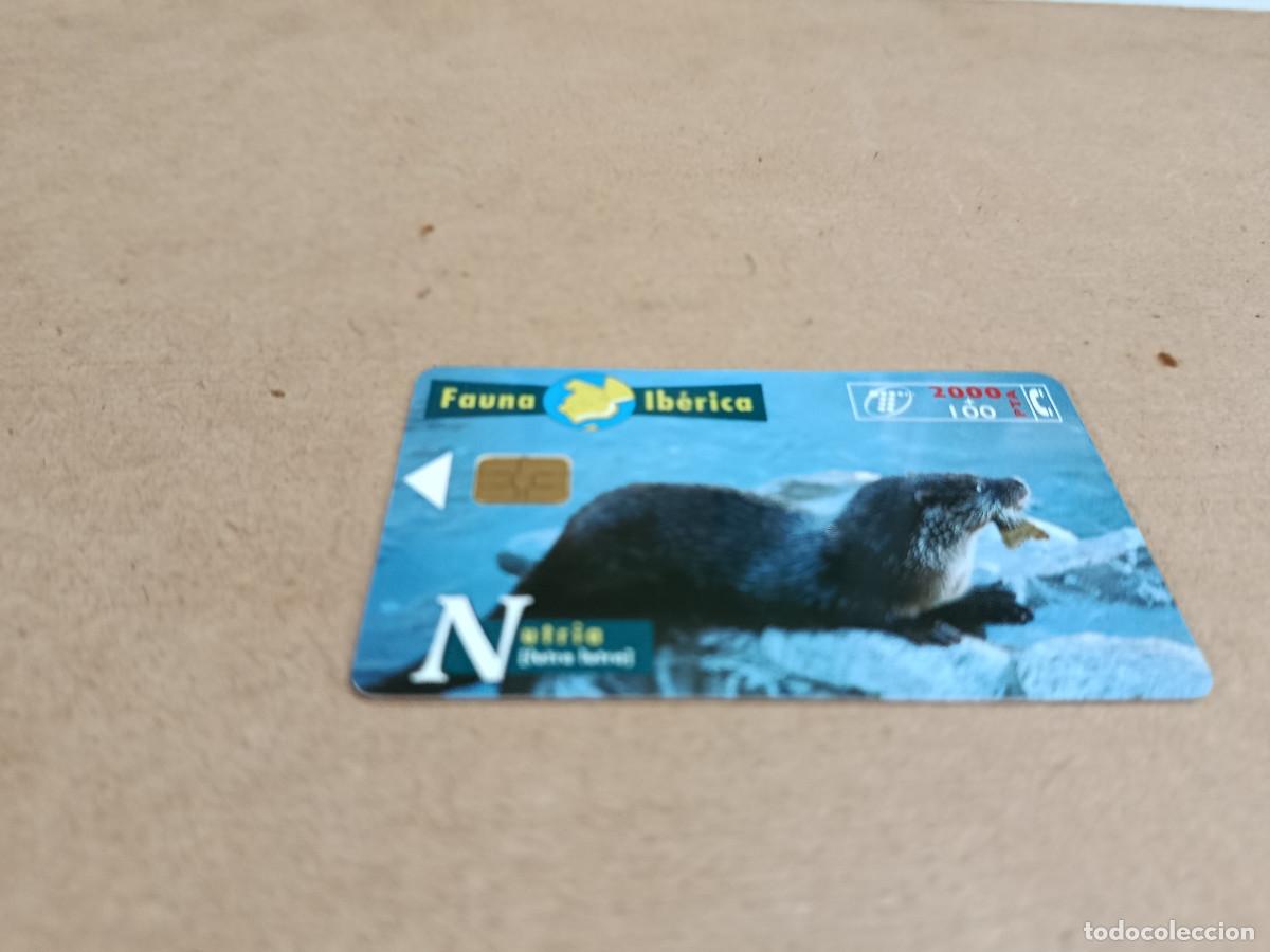 Tarjetas telef&oacute;nicas de colecci&oacute;n: TARJETA TELEF&Oacute;NICA FAUNA IB&Eacute;RICA - NUTRIA