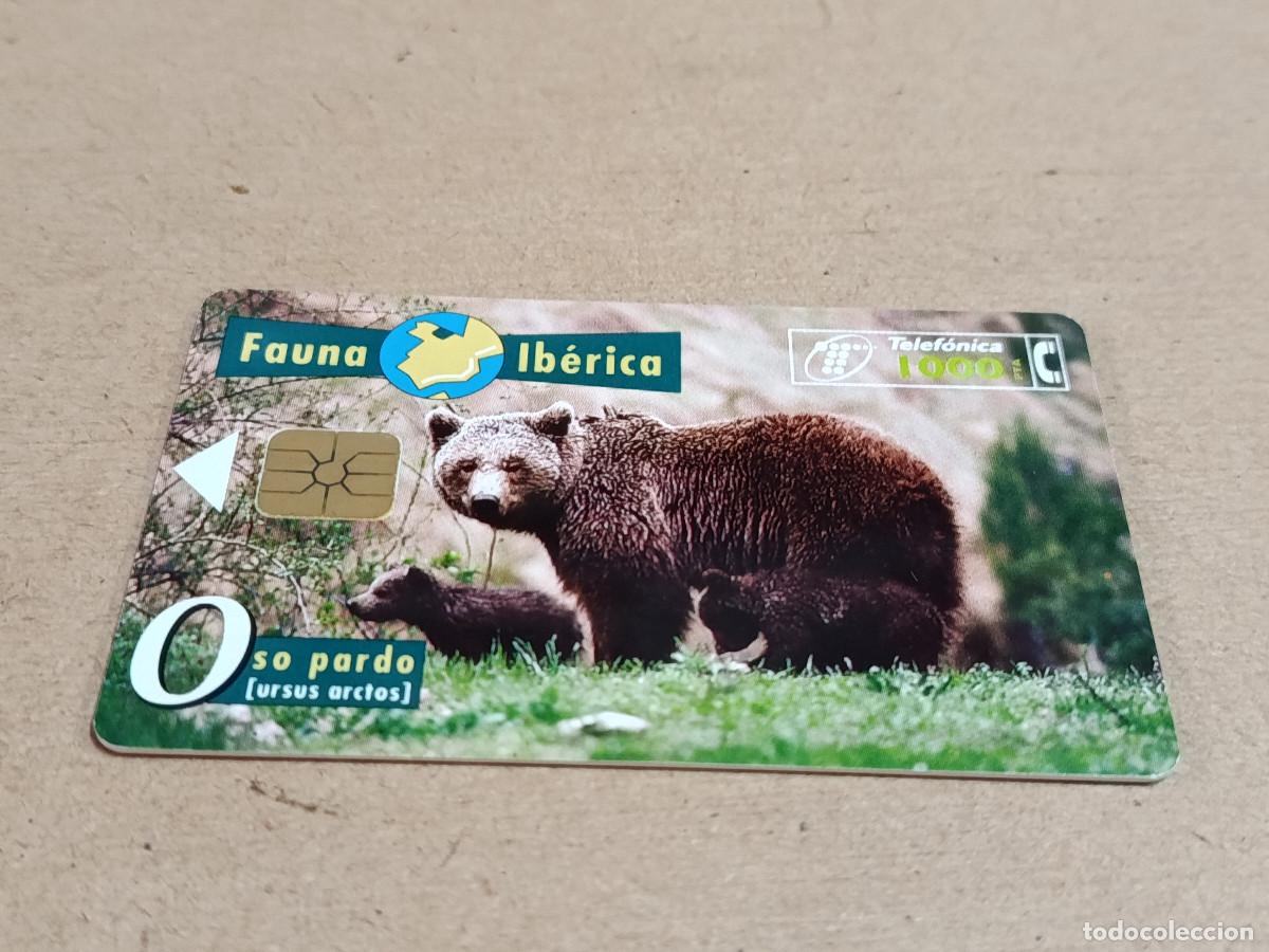 Tarjetas telef&oacute;nicas de colecci&oacute;n: TARJETA TELEF&Oacute;NICA FAUNA IB&Eacute;RICA - OSO PARDO