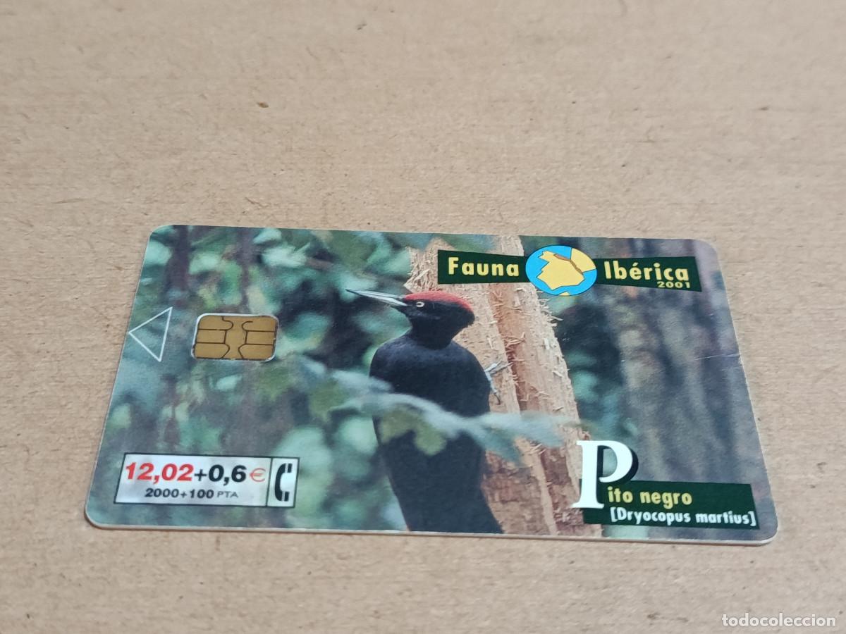 Tarjetas telef&oacute;nicas de colecci&oacute;n: TARJETA TELEF&Oacute;NICA FAUNA IB&Eacute;RICA - PITO NEGRO