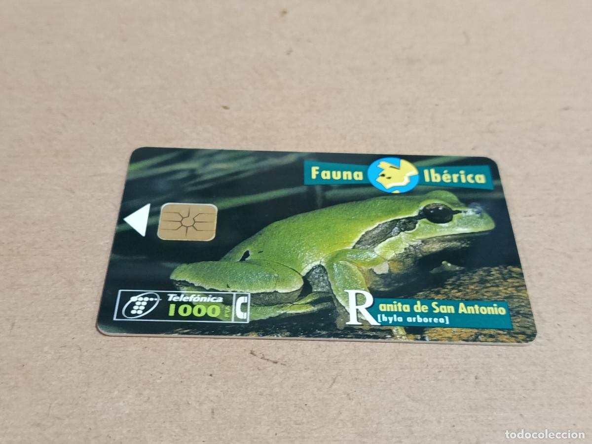 Tarjetas telef&oacute;nicas de colecci&oacute;n: TARJETA TELEF&Oacute;NICA FAUNA IB&Eacute;RICA - RANITA DE SAN ANTONIO
