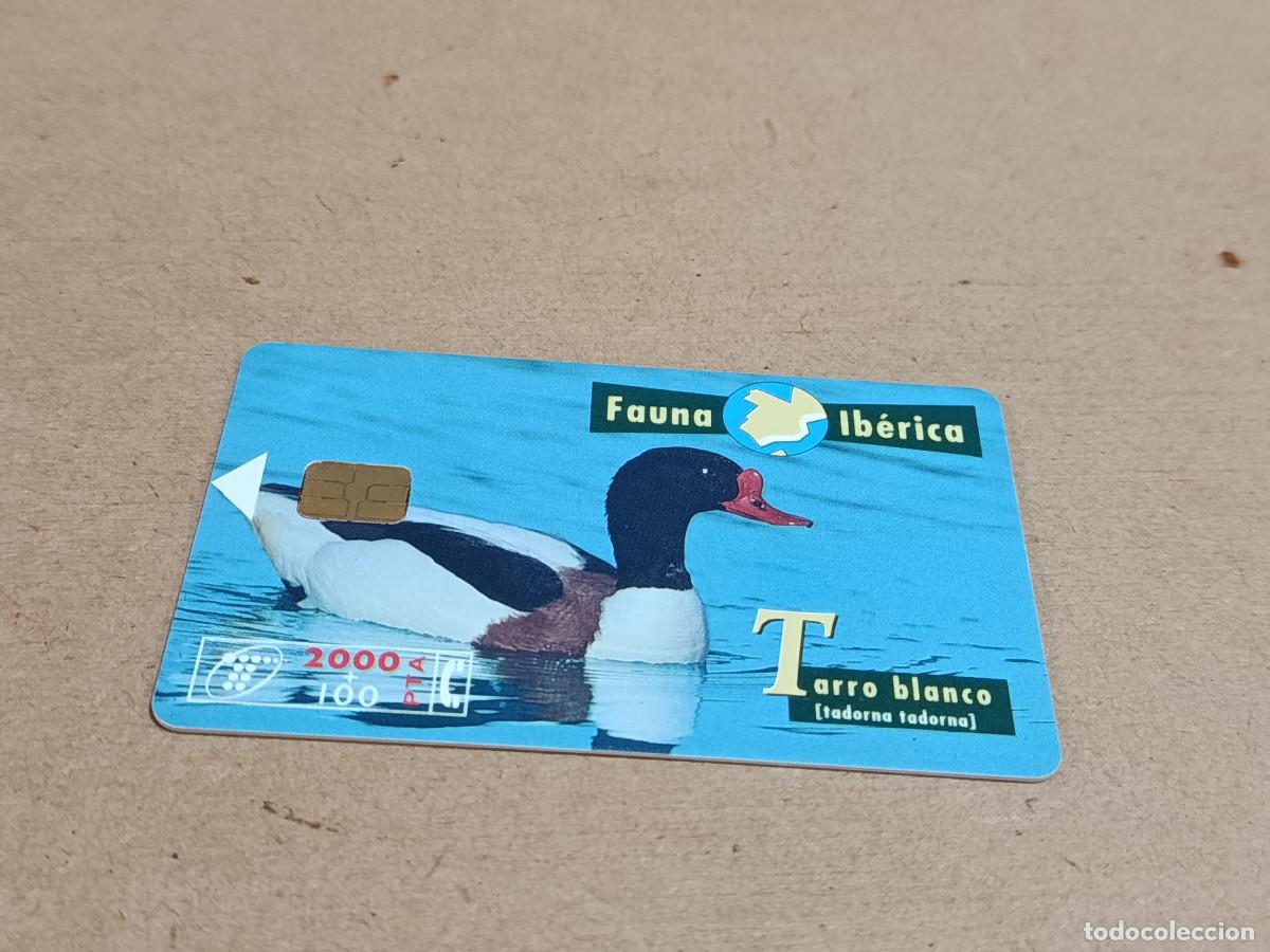 Tarjetas telef&oacute;nicas de colecci&oacute;n: TARJETA TELEF&Oacute;NICA FAUNA IB&Eacute;RICA - TARRO BLANCO