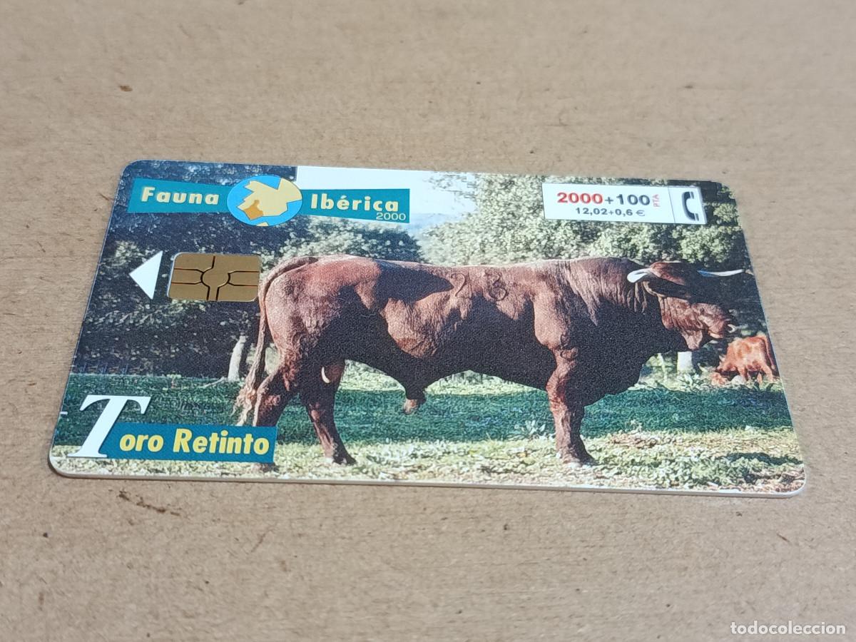 Tarjetas telef&oacute;nicas de colecci&oacute;n: TARJETA TELEF&Oacute;NICA FAUNA IB&Eacute;RICA - TORO RETINTO