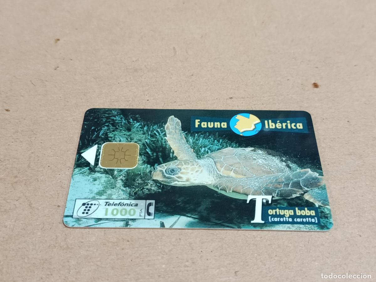 Tarjetas telef&oacute;nicas de colecci&oacute;n: TARJETA TELEF&Oacute;NICA FAUNA IB&Eacute;RICA - TORTUGA BOBA