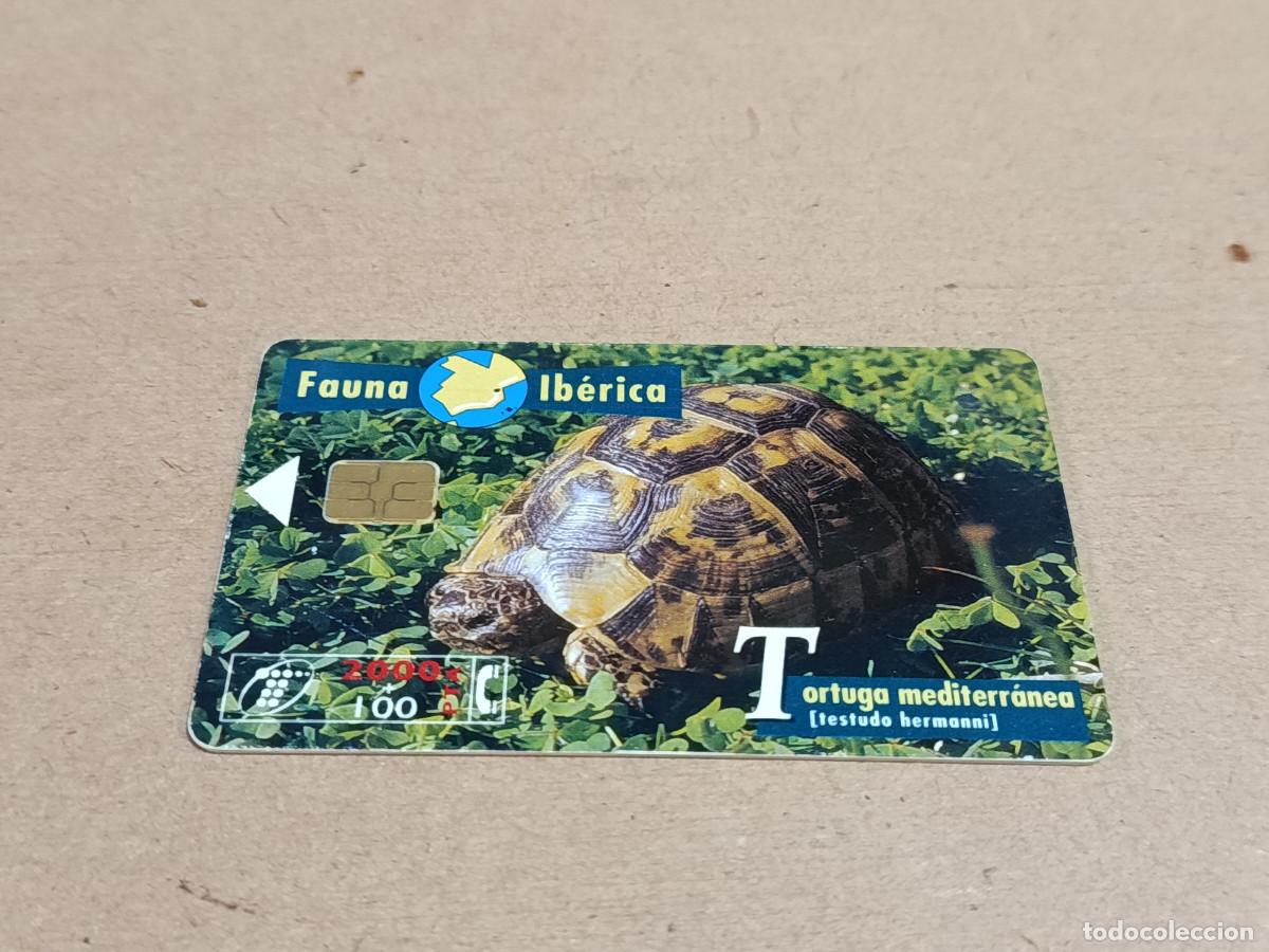 Tarjetas telef&oacute;nicas de colecci&oacute;n: TARJETA TELEF&Oacute;NICA FAUNA IB&Eacute;RICA - TORTUGA MEDITERR&Aacute;NEA