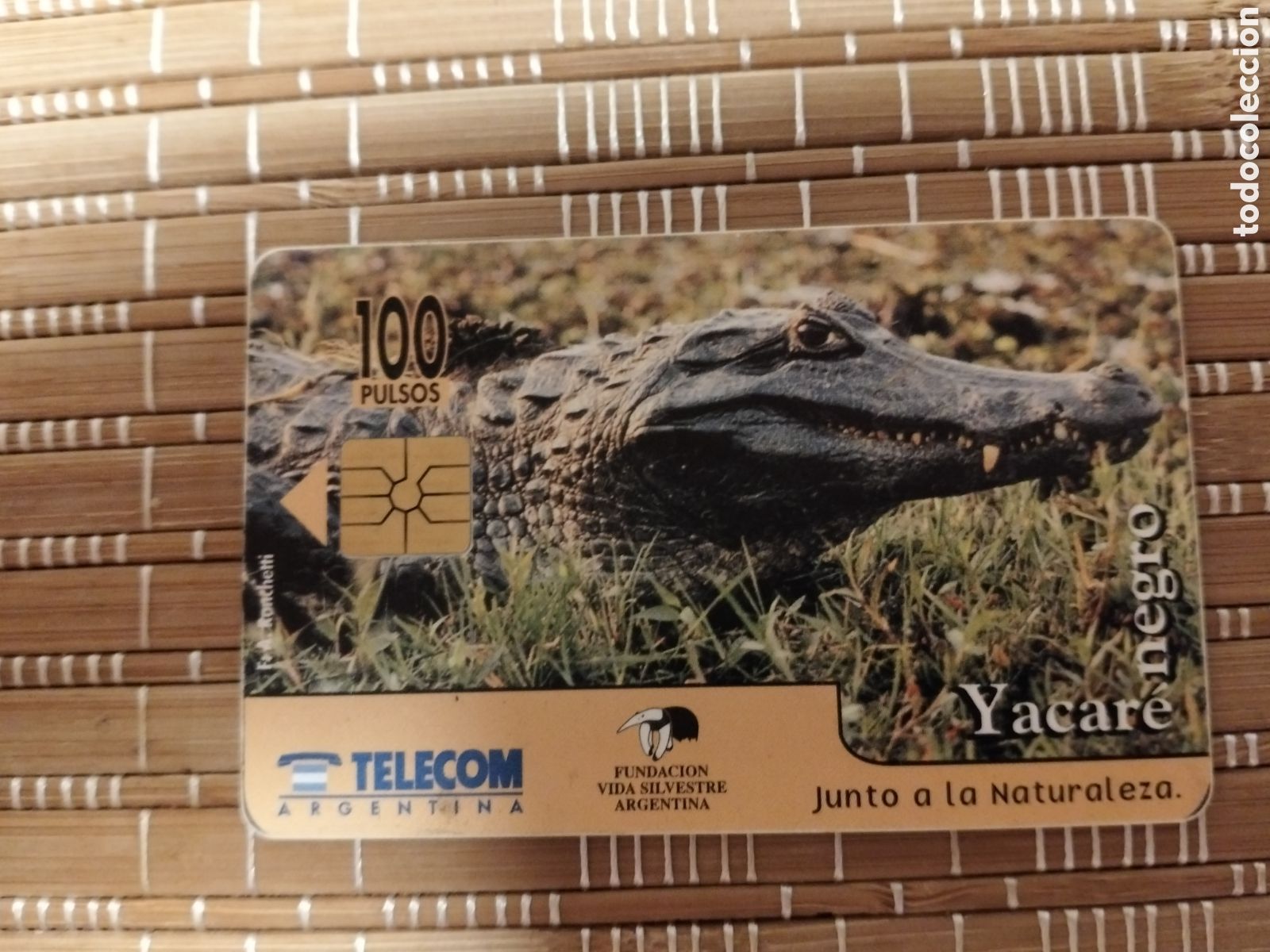 Sammlung von Telefonkarten: Tarjeta n.&deg; 3 llamadas telef&oacute;nica telecom yacar&eacute; negro 100 pulsos fundaci&oacute;n vida silvestre argentina