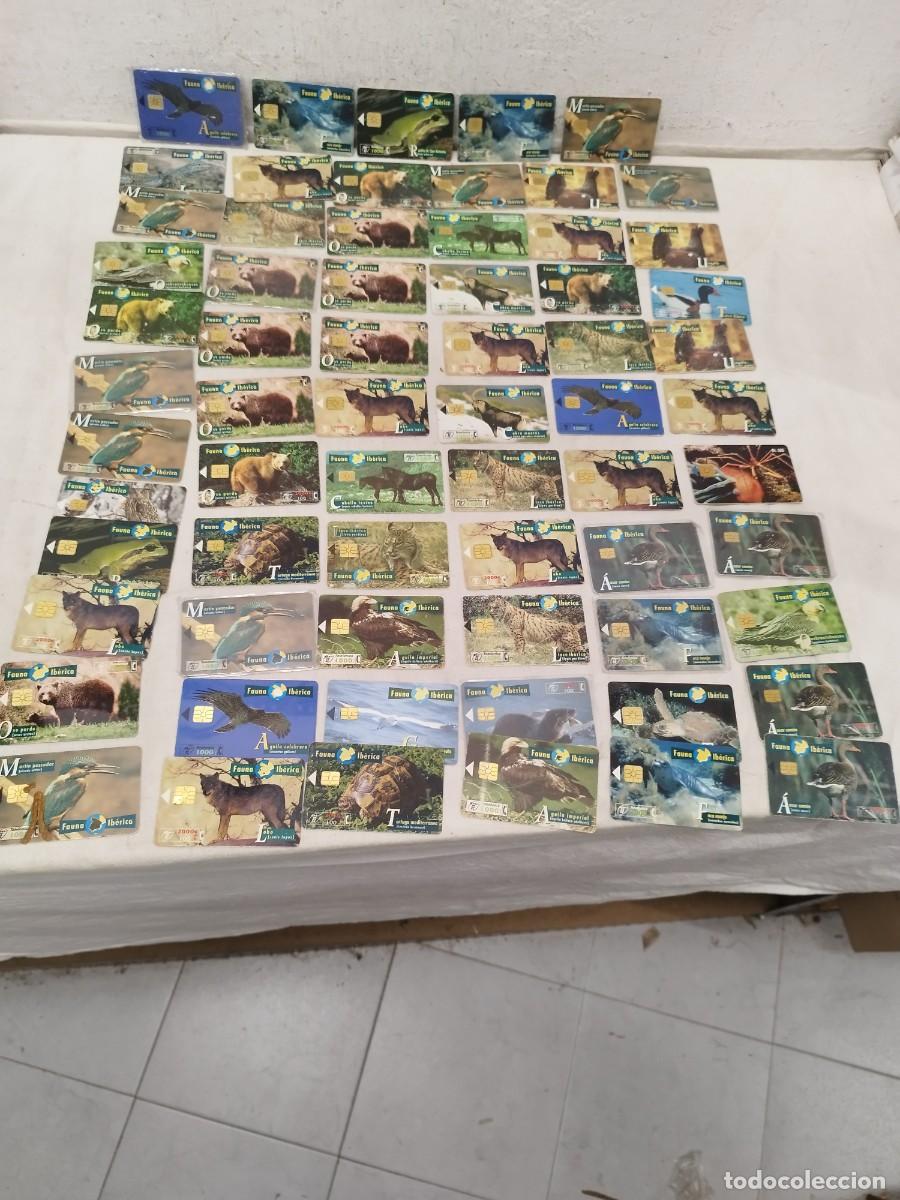 Tarjetas telef&oacute;nicas de colecci&oacute;n: Lote de 64 tarjetas telef&oacute;nicas espa&ntilde;olas serie fauna ib&eacute;rica. Telefonica. 1 CAN TV, ARA&Ntilde;A Movistar.
