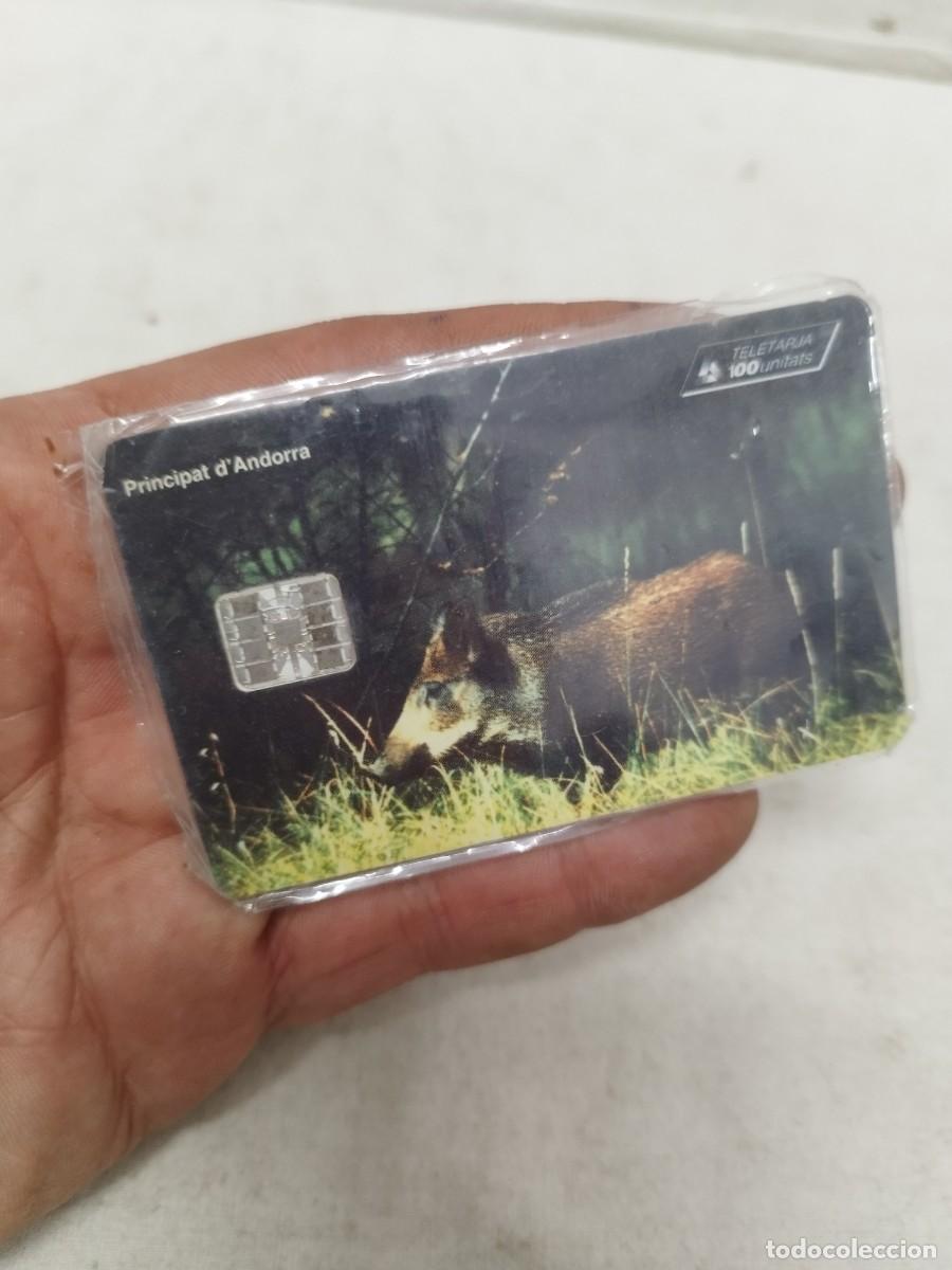 Tarjetas telef&oacute;nicas de colecci&oacute;n: tarjeta telef&oacute;nica &rdquo;Teletarja&rdquo; de Andorra con un valor de 100 unidades, emitida en 1996. Jabal&iacute;.