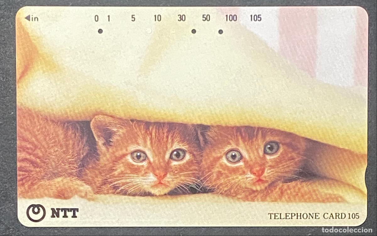 Tarjetas telef&oacute;nicas de colecci&oacute;n: Scheda Telefonica NTT Gattini Rossi 1995 - NTT (Nippon Telegraph and Telephone)