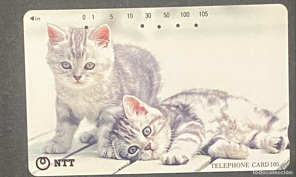 Tarjetas telef&oacute;nicas de colecci&oacute;n: Scheda Telefonica NTT Gattini Grigi Tigrati - NTT (Nippon Telegraph and Telephone)