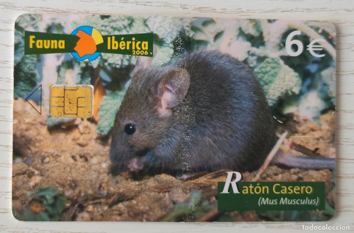 Tarjetas telef&oacute;nicas de colecci&oacute;n: TARJETA DE TELEF&Oacute;NICA DE LA SERIE FAUNA IB&Eacute;RICA 2006: RAT&Oacute;N CASERO (MUS MUSCULUS)