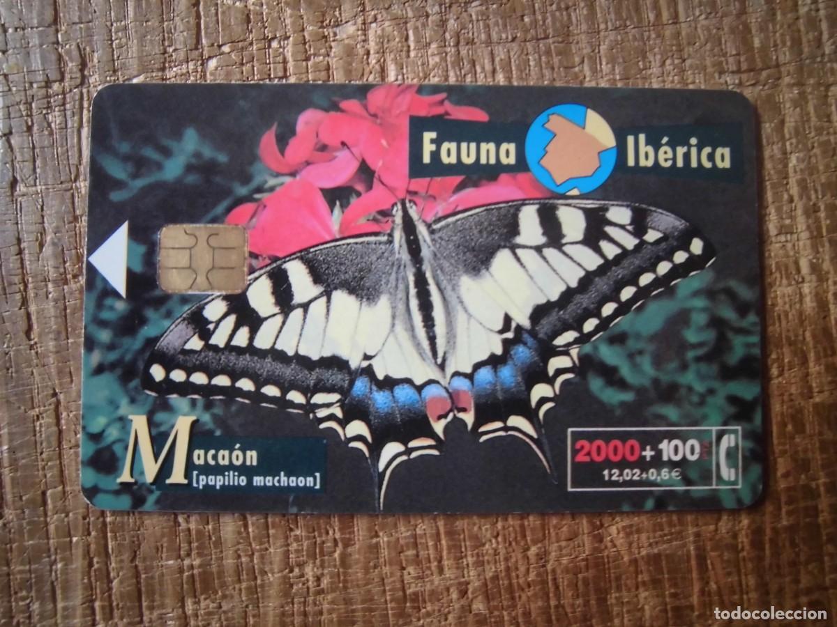 Tarjetas telef&oacute;nicas de colecci&oacute;n: TARJETA TELEF&Oacute;NICA MACA&Oacute;N FAUNA IB&Eacute;RICA 2000 PESETAS