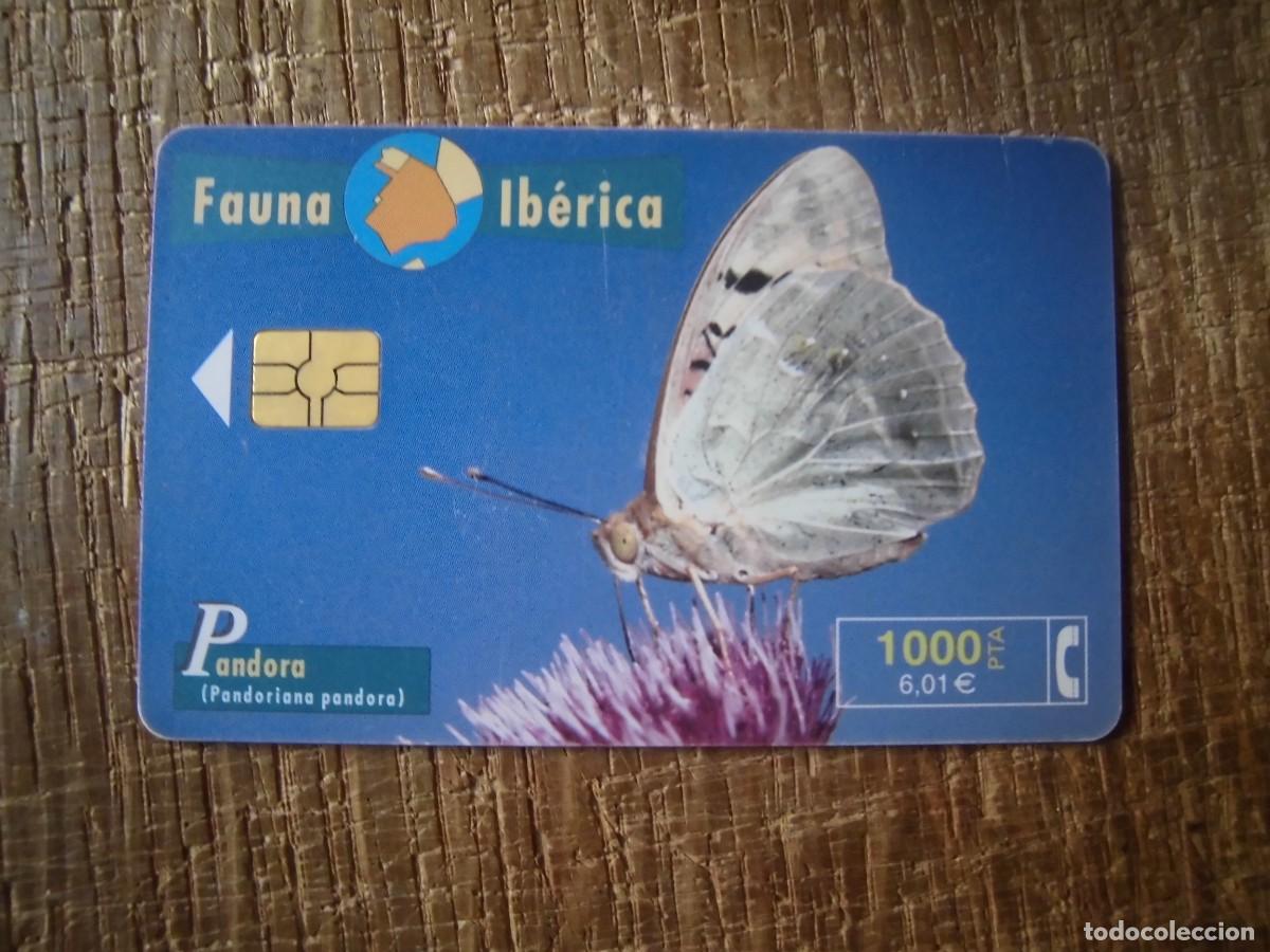 Tarjetas telef&oacute;nicas de colecci&oacute;n: TARJETA TELEF&Oacute;NICA PANDORA FAUNA IB&Eacute;RICA 1000 PESETAS