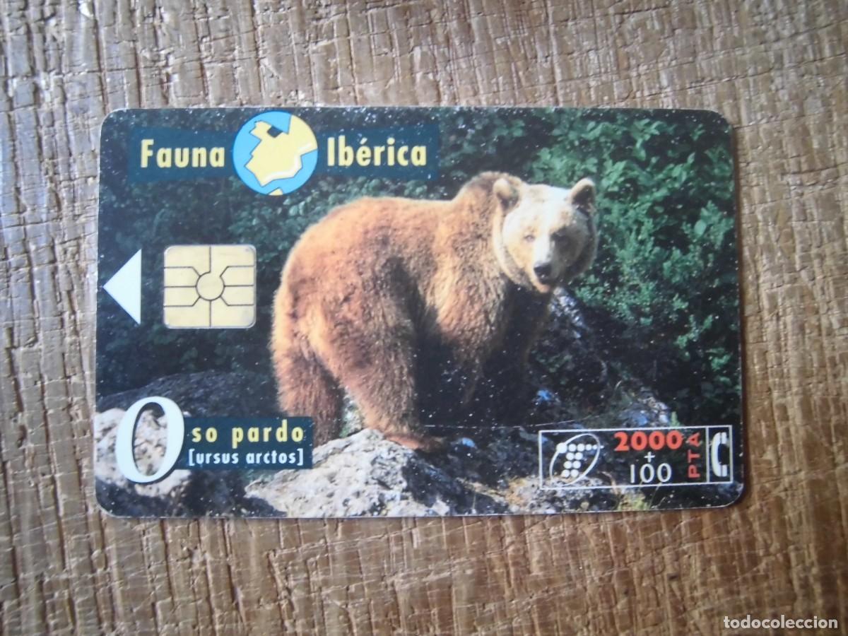Tarjetas telef&oacute;nicas de colecci&oacute;n: TARJETA TELEF&Oacute;NICA OSO PARDO FAUNA IB&Eacute;RICA 2000 PESETAS