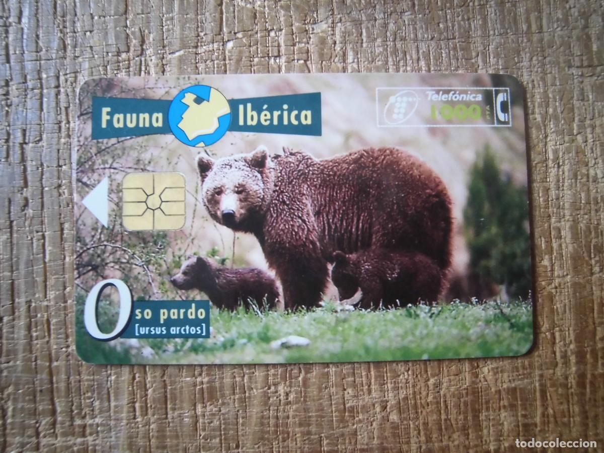 Tarjetas telef&oacute;nicas de colecci&oacute;n: TARJETA TELEF&Oacute;NICA OSO PARDO FAUNA IB&Eacute;RICA 2000 PESETAS